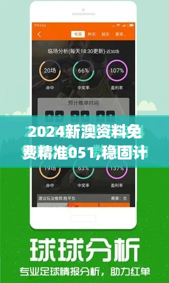 2024新澳资料免费精准051,稳固计划实施_经典版RFO74.268