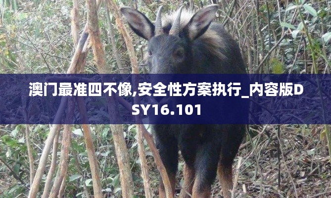 澳门最准四不像,安全性方案执行_内容版DSY16.101