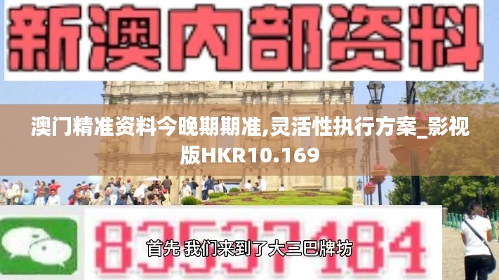 澳门精准资料今晚期期准,灵活性执行方案_影视版HKR10.169