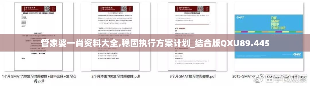 管家婆一肖资料大全,稳固执行方案计划_结合版QXU89.445