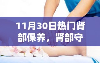 11月热门肾部保养产品深度评测，守护肾脏健康的守护者