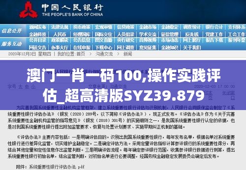 澳门一肖一码100,操作实践评估_超高清版SYZ39.879