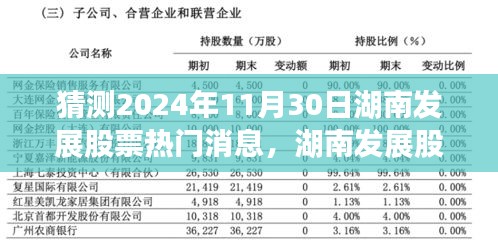 湖南发展股票，友情与未来的奇妙猜想，揭秘热门消息背后的故事（预测至2024年11月）