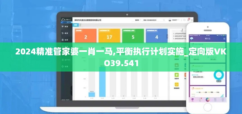 2024精准管家婆一肖一马,平衡执行计划实施_定向版VKO39.541