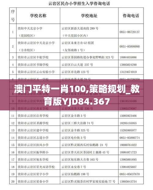 澳门平特一肖100,策略规划_教育版YJD84.367