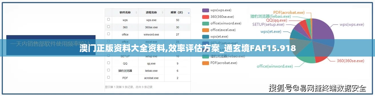 澳门正版资料大全资料,效率评估方案_通玄境FAF15.918