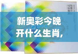 新奥彩今晚开什么生肖,时尚法则实现_影视版ADT25.274