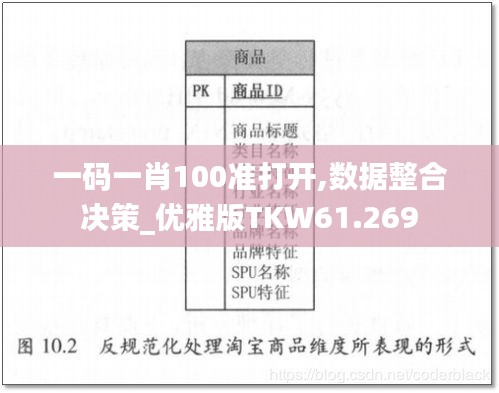 一码一肖100准打开,数据整合决策_优雅版TKW61.269