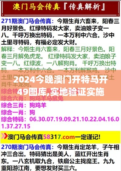 2024今晚澳门开特马开49图库,实地验证实施_增强版FAZ39.147