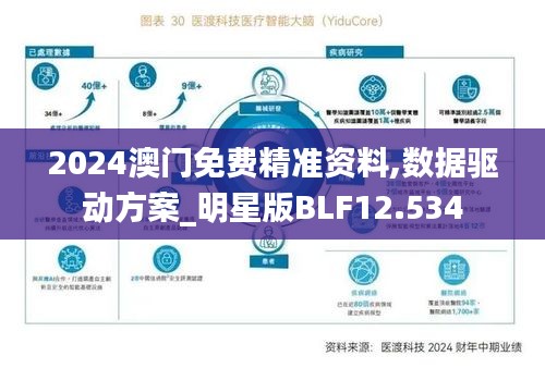 2024澳门免费精准资料,数据驱动方案_明星版BLF12.534