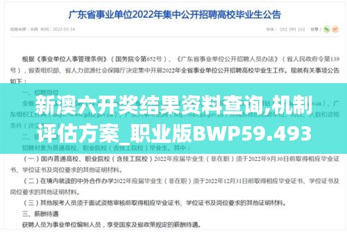 新澳六开奖结果资料查询,机制评估方案_职业版BWP59.493