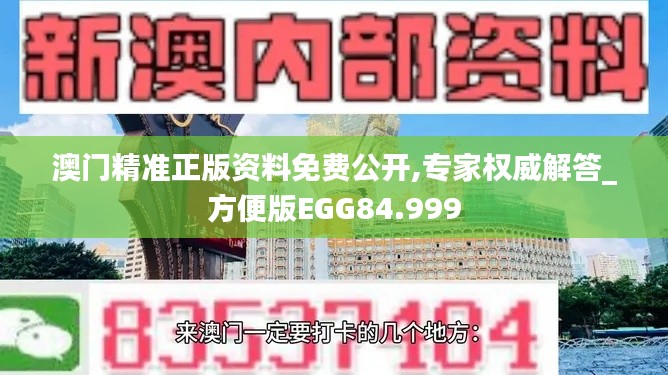 澳门精准正版资料免费公开,专家权威解答_方便版EGG84.999