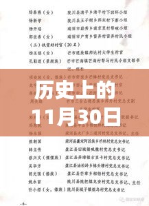 历史上的11月30日德宏州人事任免动态，深度解析及其深远影响