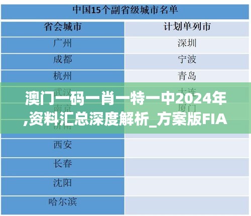 澳门一码一肖一特一中2024年,资料汇总深度解析_方案版FIA20.379