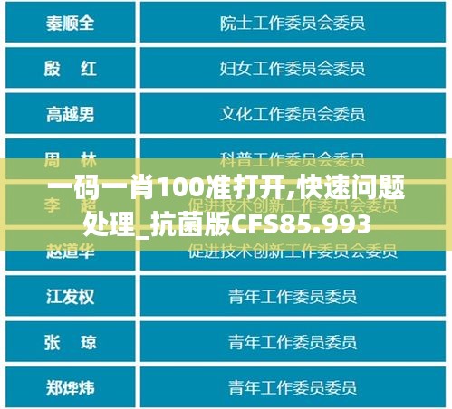 一码一肖100准打开,快速问题处理_抗菌版CFS85.993