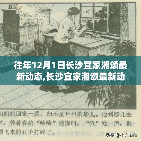 长沙宜家湘颂最新动态深度解析，产品特性与用户体验评测报告