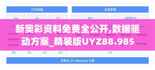 新奥彩资料免费全公开,数据驱动方案_精装版UYZ88.985