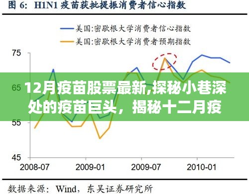 探秘小巷深处的疫苗巨头，十二月疫苗股票最新动态与揭秘