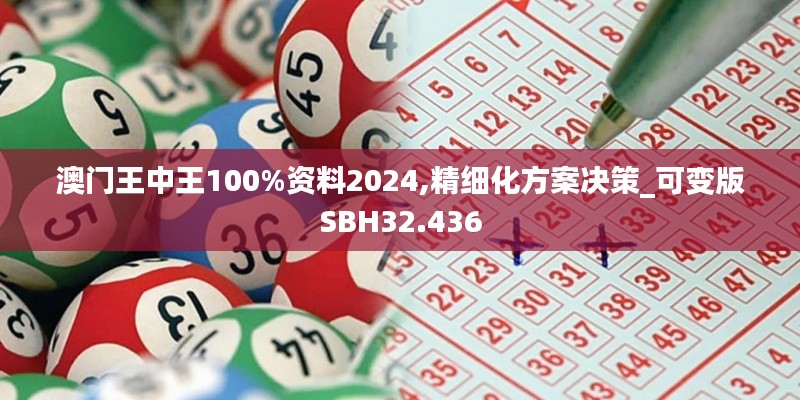 澳门王中王100%资料2024,精细化方案决策_可变版SBH32.436