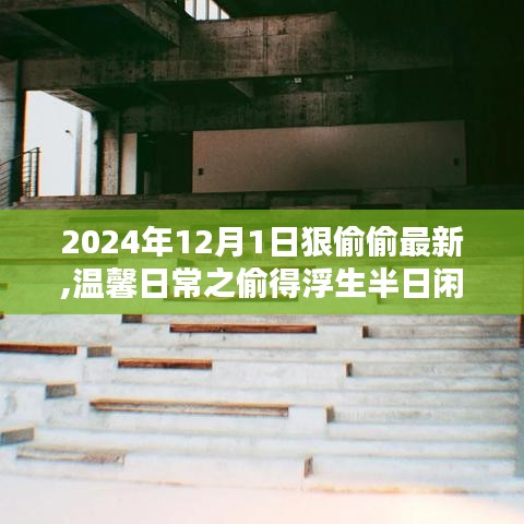 温馨日常之偷得浮生半日闲，2024年12月1日的奇遇与偷闲时光