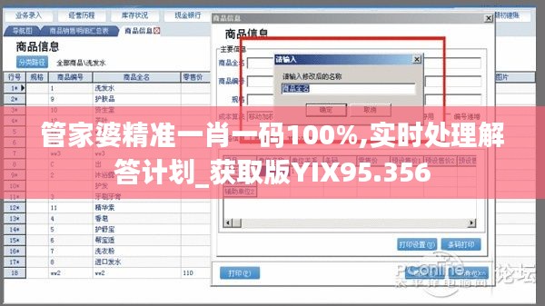 管家婆精准一肖一码100%,实时处理解答计划_获取版YIX95.356