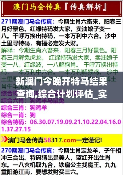 新澳门今晚开特马结果查询,综合计划评估_实用版VDW54.304