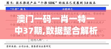 澳门一码一肖一特一中37期,数据整合解析计划_个人版FQI19.778