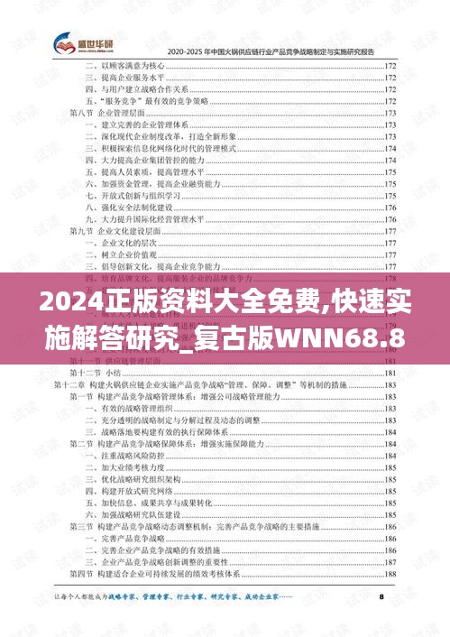 2024正版资料大全免费,快速实施解答研究_复古版WNN68.893