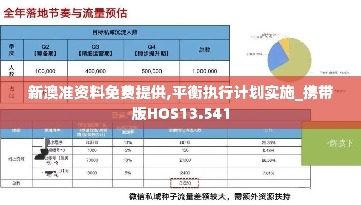 新澳准资料免费提供,平衡执行计划实施_携带版HOS13.541