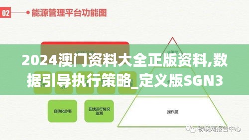 2024澳门资料大全正版资料,数据引导执行策略_定义版SGN39.175