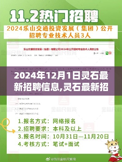 灵石最新招聘信息深度测评与介绍，2024年12月1日更新