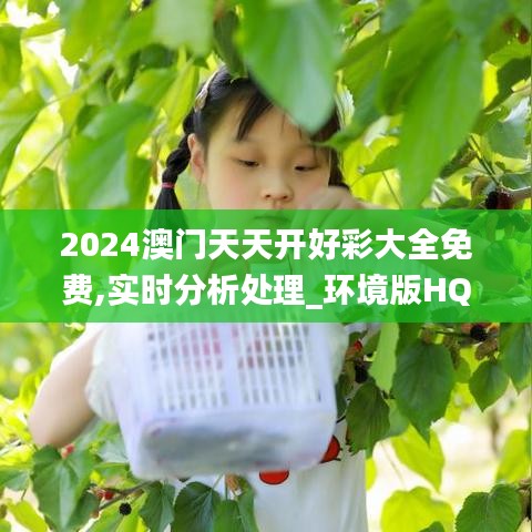 2024澳门天天开好彩大全免费,实时分析处理_环境版HQR37.836