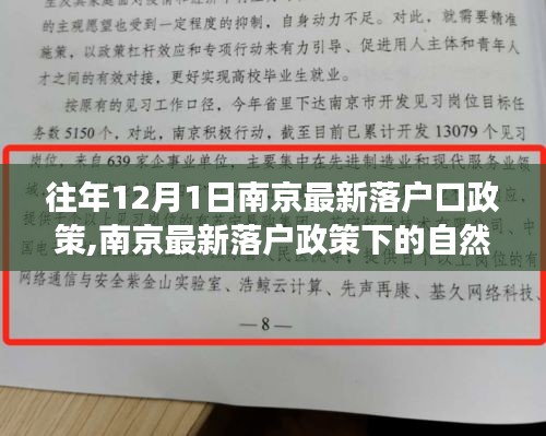 南京最新落户政策下的自然之旅，追寻内心的宁静与和谐时光