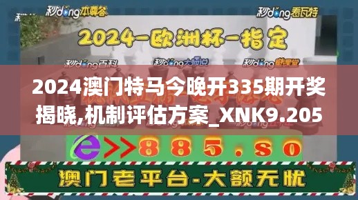 2024澳门特马今晚开335期开奖揭晓,机制评估方案_XNK9.205荣耀版