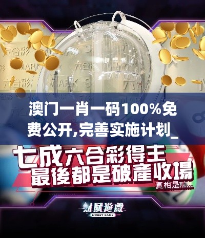 澳门一肖一码100%免费公开,完善实施计划_KMU26.180远光版