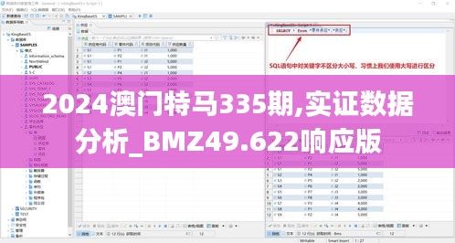 2024澳门特马335期,实证数据分析_BMZ49.622响应版