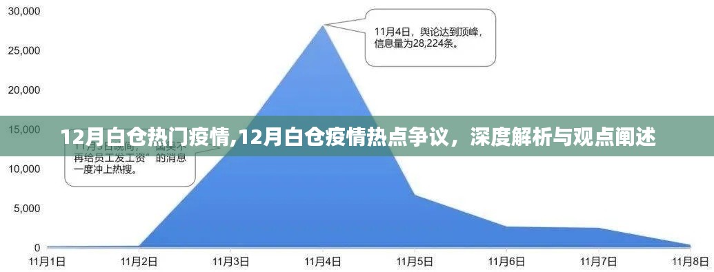 深度解析与观点阐述，12月白仓疫情热点争议与疫情动态