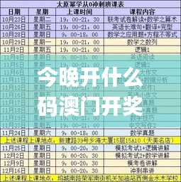 今晚开什么码澳门开奖,高速响应计划执行_BXM48.440网络版