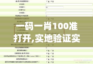 一码一肖100准打开,实地验证实施_REM53.687专业版