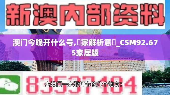 澳门今晚开什么号,專家解析意見_CSM92.675家居版