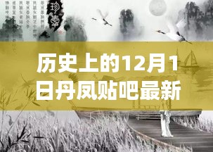 历史上的12月1日丹凤贴吧最新消息全攻略，初学者与进阶用户必读资讯