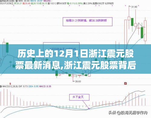 浙江震元股票背后的自然之旅，心灵宁静探索与最新消息回顾的历程