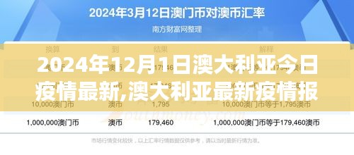 澳大利亚疫情动态，聚焦2024年12月1日的最新报告与动态