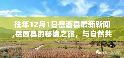 岳西县秘境之旅，与自然共舞，探寻内心宁静港湾的最新新闻（往年12月1日）