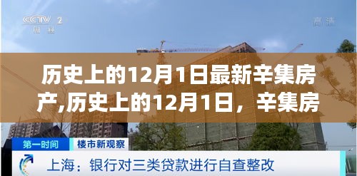 历史上的辛集房产发展轨迹与最新动态，12月1日的回顾与展望