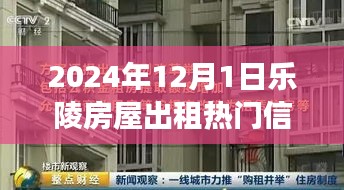 乐陵房屋出租热门信息解析，深度观察与影响