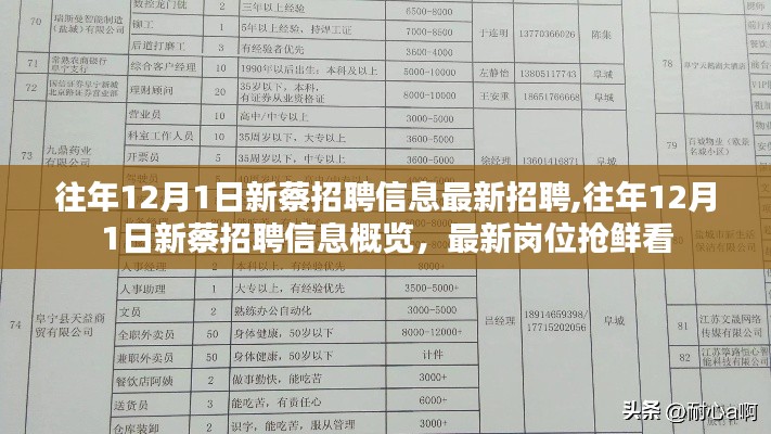 往年12月1日新蔡最新招聘信息抢鲜看，岗位概览与最新岗位一览