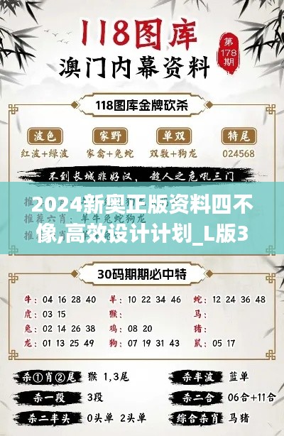 2024新奥正版资料四不像,高效设计计划_L版31.202-2