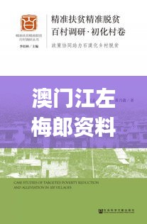 澳门江左梅郎资料江左梅郎网,快速解答方案实践_ARI10.440科技版