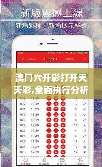 澳门六开彩打开天天彩,全面执行分析数据_R版13.894-2